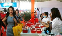 潜江网红最新爆料,揭秘网红背后的惊人真相！